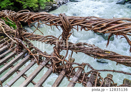 徳島県：祖谷のかずら橋 12835136