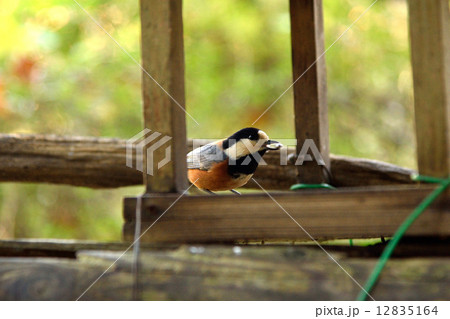 ヤマガラ ヤマガラ 12835164