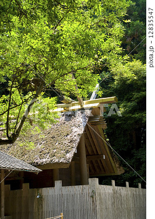 伊勢神宮 外宮 土宮 伊勢神宮 外宮 土宮 12835547