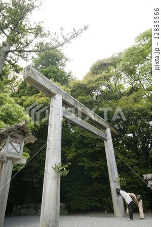 伊勢神宮外宮 正宮へ向かう参道の鳥居　 12835566
