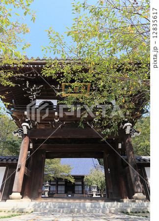 竹原市、町並み保存地区の「照蓮寺」山門から本堂を見る 竹原市、町並み保存地区の「照蓮寺」山門から本堂を見る 12835617