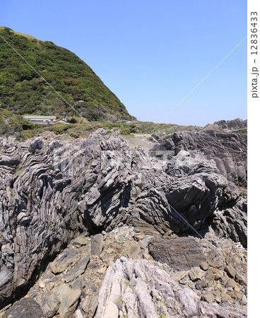 室戸ジオパーク灌頂ヶ浜、タービダイトのスランプ構造 12836433