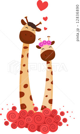 Giraffe Couple 12836890