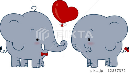 Elephant Couple Elephant Couple 12837372