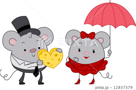 Mice Couple 12837379