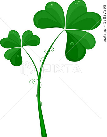 Shamrock Backgroundのイラスト素材 [12837598] - PIXTA