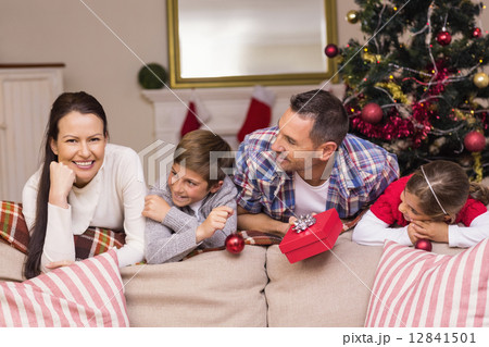 Peaceful family leaning on the couch 12841501