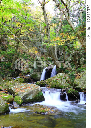 滝川渓谷 おぼろ滝 ~晩秋~ 滝川渓谷 おぼろ滝 ~晩秋~ 12845570