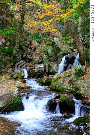 滝川渓谷　おぼろ滝　～晩秋～ 12845573