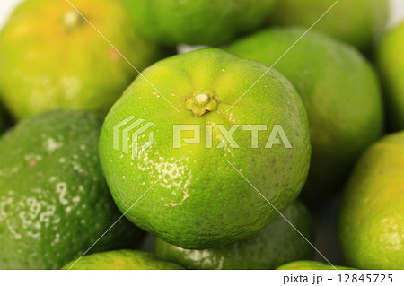 シークァーサー シークァーサー 12845725