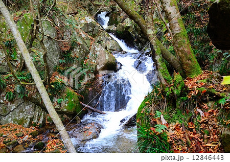 滝川渓谷 鋸歯の滝 ~晩秋~ 滝川渓谷 鋸歯の滝 ~晩秋~ 12846443