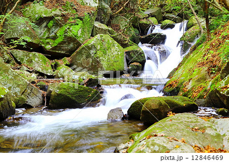滝川渓谷 名のない滝 ~晩秋~ 滝川渓谷 名のない滝 ~晩秋~ 12846469