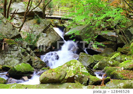 滝川渓谷　橋下滝　～晩秋～ 12846526