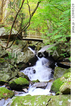 滝川渓谷　橋下滝　～晩秋～ 12846529