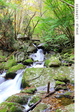 滝川渓谷 橋下滝 ~晩秋~ 滝川渓谷 橋下滝 ~晩秋~ 12846530