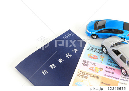 自動車保険 12846656