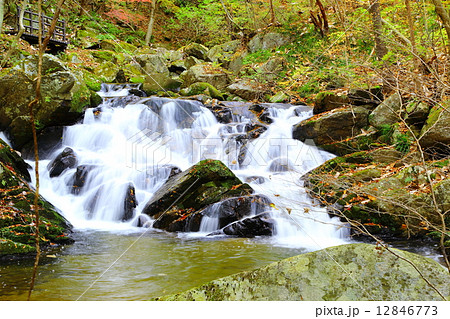 滝川渓谷 小富士の滝 ~晩秋~ 滝川渓谷 小富士の滝 ~晩秋~ 12846773