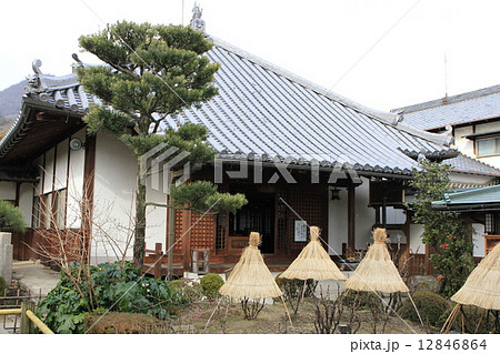 奈良県葛城市の石光寺 奈良県葛城市の石光寺 12846864