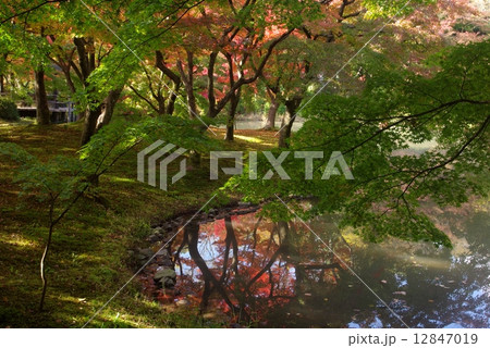 秋色の庭園 12847019