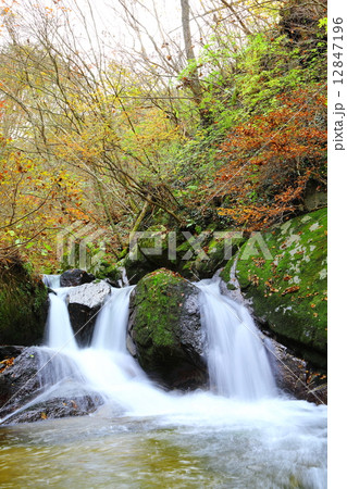 滝川渓谷 みすじの滝 ~晩秋~ 滝川渓谷 みすじの滝 ~晩秋~ 12847196