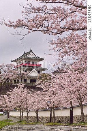 桜満開の涌谷城 桜満開の涌谷城 12847390