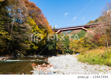 氷川渓谷と氷川大橋 12847494