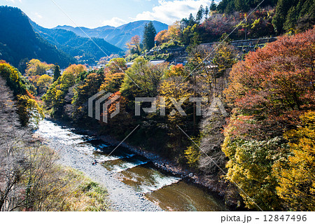 氷川渓谷 12847496