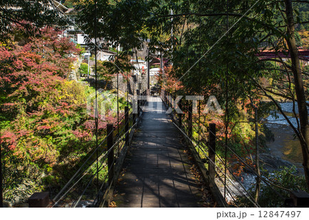 氷川渓谷 氷川小橋 氷川渓谷 氷川小橋 12847497