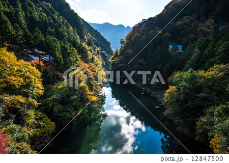 数馬渓谷の紅葉 12847500