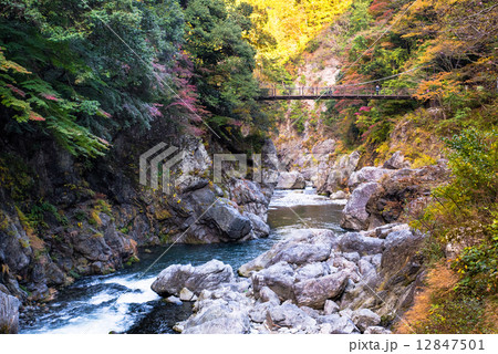 鳩ノ巣渓谷の紅葉の写真素材