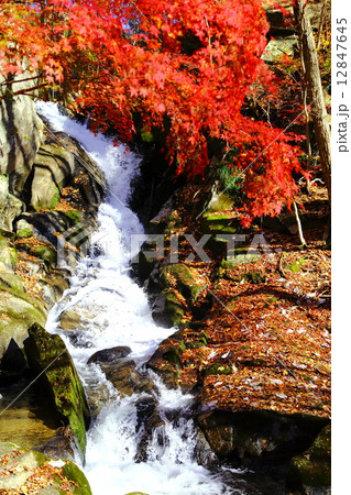 滝川渓谷 銚子の口(臥竜淵)滝 ~晩秋~ 滝川渓谷 銚子の口(臥竜淵)滝 ~晩秋~ 12847645