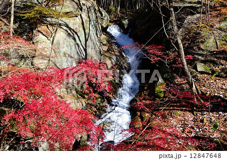 滝川渓谷 銚子の口(臥竜淵)滝 ~晩秋~ 滝川渓谷 銚子の口(臥竜淵)滝 ~晩秋~ 12847648