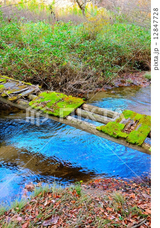 滝川渓谷 ~滝川の里 朽ちた木橋の晩秋~ 滝川渓谷 ~滝川の里 朽ちた木橋の晩秋~ 12847728