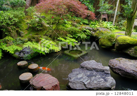 武家屋敷跡野村家の日本庭園(石川県金沢市) 武家屋敷跡野村家の日本庭園(石川県金沢市) 12848011