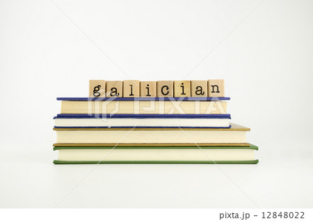 galician language word on wood stamps and books 12848022
