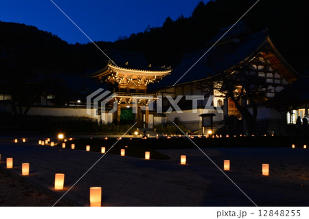 常栄寺ライトアップ 12848255