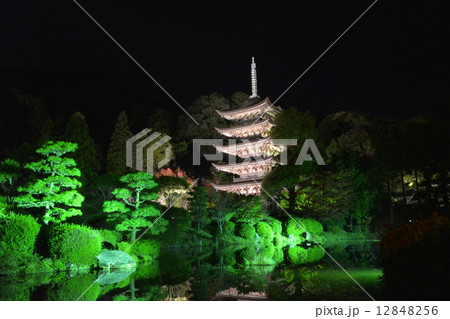 瑠璃光寺五重塔ライトアップの写真素材