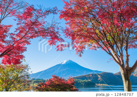 秋の富士山 秋の富士山 12848707