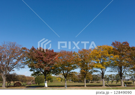 秋景色 12849090