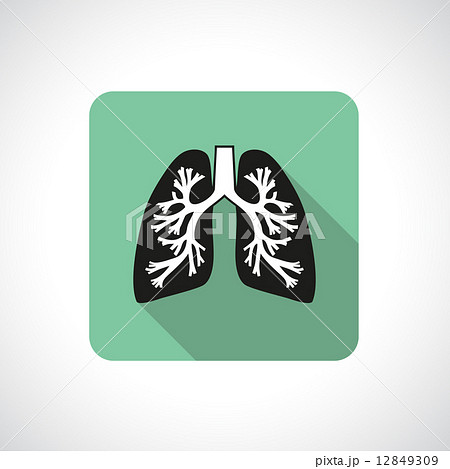 Lungs, square icon.  12849309