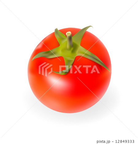 Fresh Tomatoes Isolated on White Background Vector Illustration 12849333