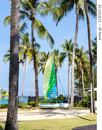 Catamaran on the beach with volleyball court 12850516