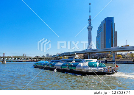 青空が広がるスカイツリーに桜満開の隅田川と遊覧船 青空が広がるスカイツリーに桜満開の隅田川と遊覧船 12852374