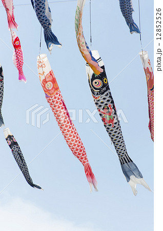 鯉のぼり 12852526