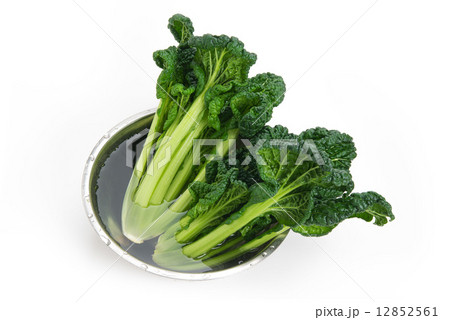 ゆきな ゆきな 12852561