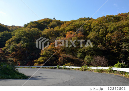 道路　コーナー 12852801