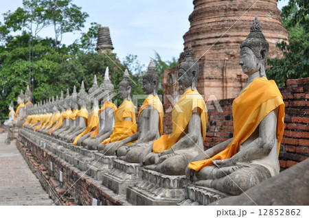 黄色の僧 12852862