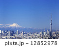 快晴青空・富士山と東京スカイツリーそして東京都心の高層ビル群を一望　382 12852978