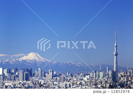 快晴青空・富士山と東京スカイツリーそして東京都心の高層ビル群を一望　382 12852978