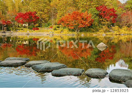 水面に映る鮮やかな紅葉 12853025